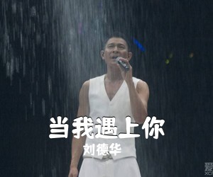 刘德华《当我遇上你吉他谱》(G调)