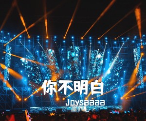 Joysaaaa《你不明白吉他谱》(C调)