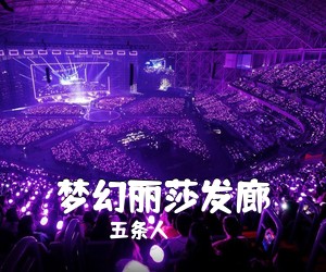 五条人《梦幻丽莎发廊吉他谱》(C调)