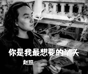 赵照《你是我最想要的丫头吉他谱》(E调)