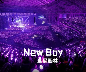 盘尼西林《New Boy吉他谱》(D调)