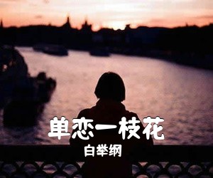 白举纲《单恋一枝花吉他谱》(G调)