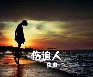 虫虫《伤追人吉他谱》(G调)