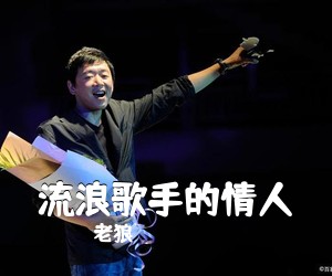 老狼《流浪歌手的情人吉他谱》(G调)