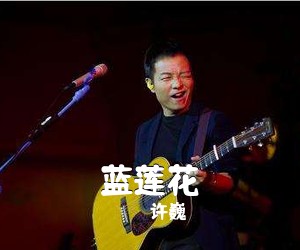 许巍《蓝莲花吉他谱》(G调)