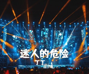 丁丁《迷人的危险吉他谱》