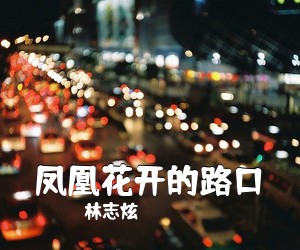 林志炫《凤凰花开的路口吉他谱》(G调)