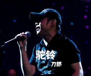 刀郎《驼铃吉他谱》(G调)