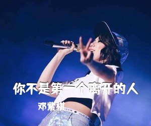 邓紫棋《你不是第一个离开的人吉他谱》(G调)