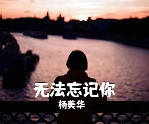 杨美华《无法忘记你简谱》