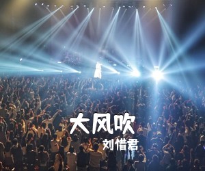 刘惜君《大风吹吉他谱》(G调)