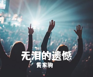 黄家驹《无泪的遗憾吉他谱》(C调)