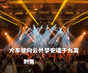 刺猬《火车驶向云外梦安魂于九霄吉他谱》(C调)