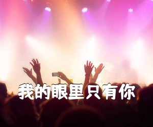《我的眼里只有你吉他谱》(G调)