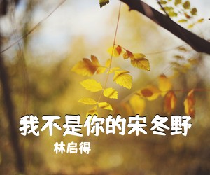 林启得《我不是你的宋冬野吉他谱》(C调)