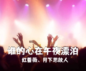 红蔷薇、月下思故人《谁的心在午夜漂泊简谱》