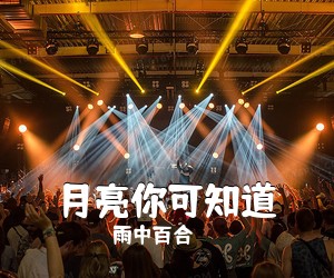 雨中百合《月亮你可知道简谱》