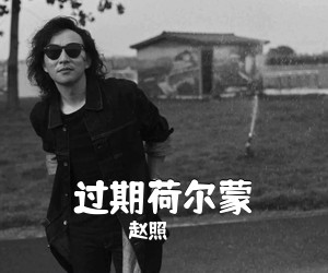 赵照《过期荷尔蒙吉他谱》(C调)