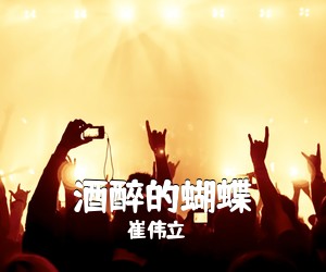 崔伟立《酒醉的蝴蝶吉他谱》(G调)