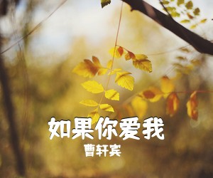 曹轩宾《如果你爱我吉他谱》(C调)
