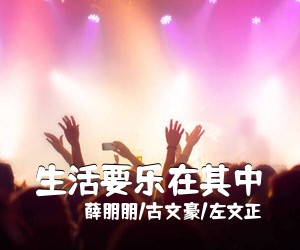 薛朋朋/古文豪/左文正《生活要乐在其中吉他谱》(G调)