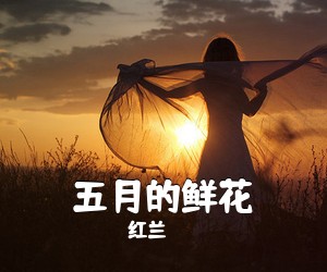 红兰《五月的鲜花简谱》