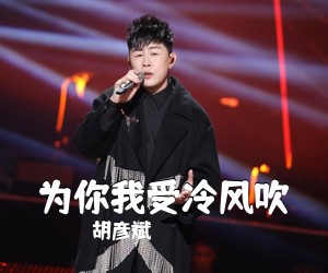 胡彦斌《为你我受冷风吹吉他谱》(C调)