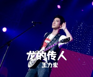 王力宏《龙的传人吉他谱》(C调)