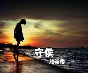 赵英俊《守侯吉他谱》(C调)