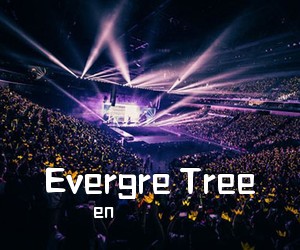 en《Evergre Tree吉他谱》(C调)