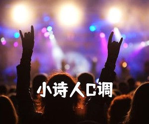 《小诗人C调吉他谱》(C调)