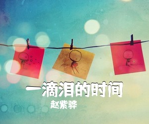 赵紫骅《一滴泪的时间吉他谱》(C调)