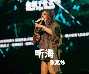 张惠妹《听海吉他谱》(G调)