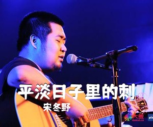 宋冬野《平淡日子里的刺吉他谱》(G调)