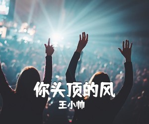 王小帅《你头顶的风吉他谱》(C调)