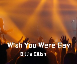 Billie Eilish《Wish You Were Gay吉他谱》(G调)
