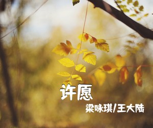 梁咏琪/王大陆《许愿吉他谱》(C调)