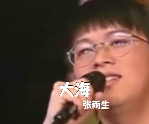 张雨生《大海吉他谱》(G调)
