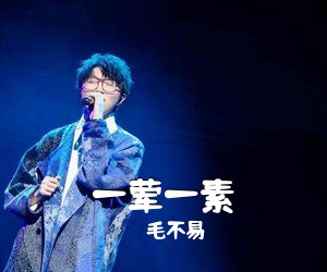 毛不易《一荤一素吉他谱》(D调)