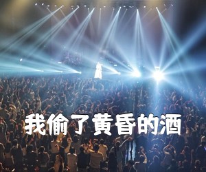 《我偷了黄昏的酒吉他谱》(G调)