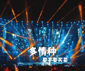 要不要买菜《多情种吉他谱》(C调)