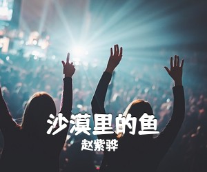 赵紫骅《沙漠里的鱼吉他谱》(G调)