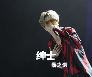 薛之谦《绅士吉他谱》(C调)