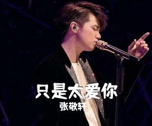 张敬轩《只是太爱你吉他谱》(G调)
