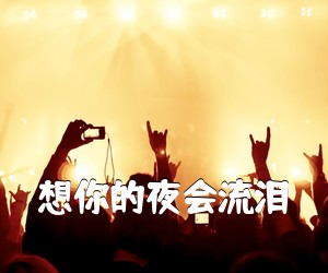 《想你的夜会流泪吉他谱》(G调)