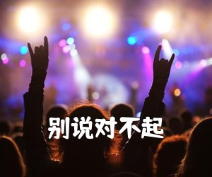 《别说对不起吉他谱》(D调)