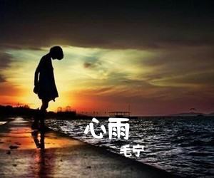 毛宁《心雨吉他谱》(C调)