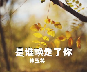 林玉英《是谁唤走了你简谱》
