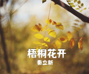 秦立新《​梧桐花开简谱》