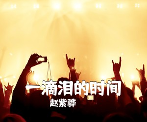 赵紫骅《一滴泪的时间吉他谱》(C调)